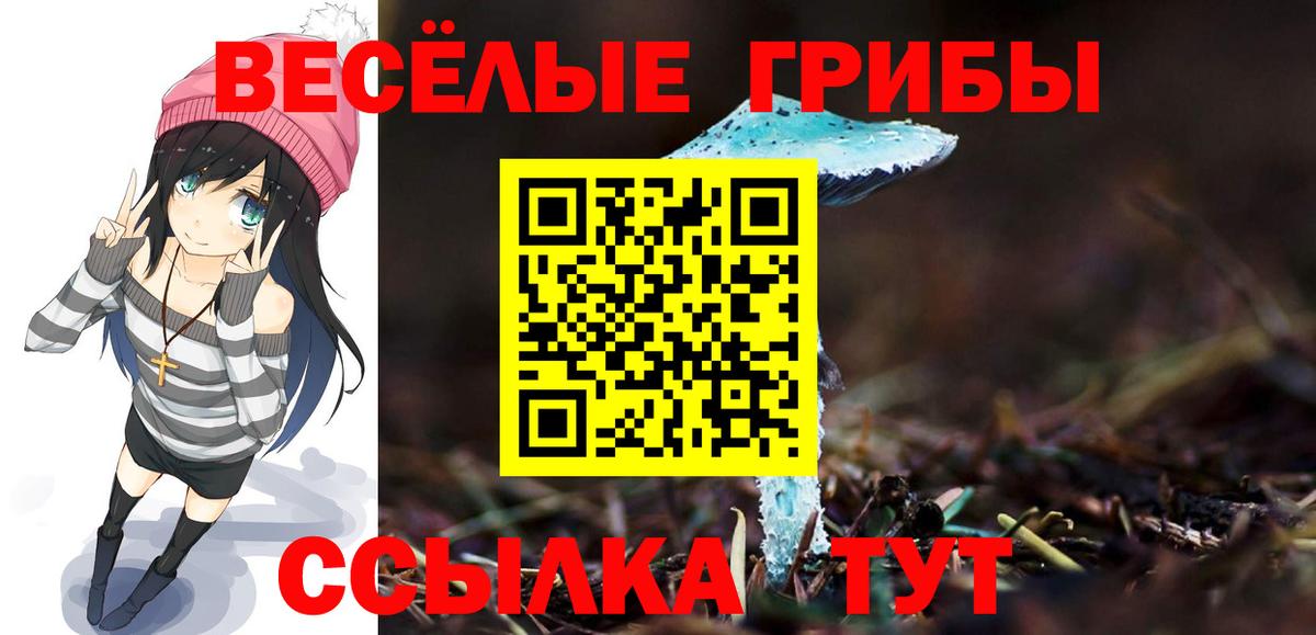 Галлюциногенные грибы мицелий  Галлюциногенные грибы Magic Shrooms  купить наркотик  Вход с VPN  Липецк 