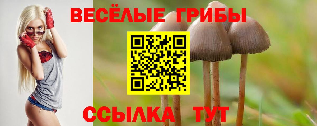 Галлюциногенные грибы прущие грибы Липецк